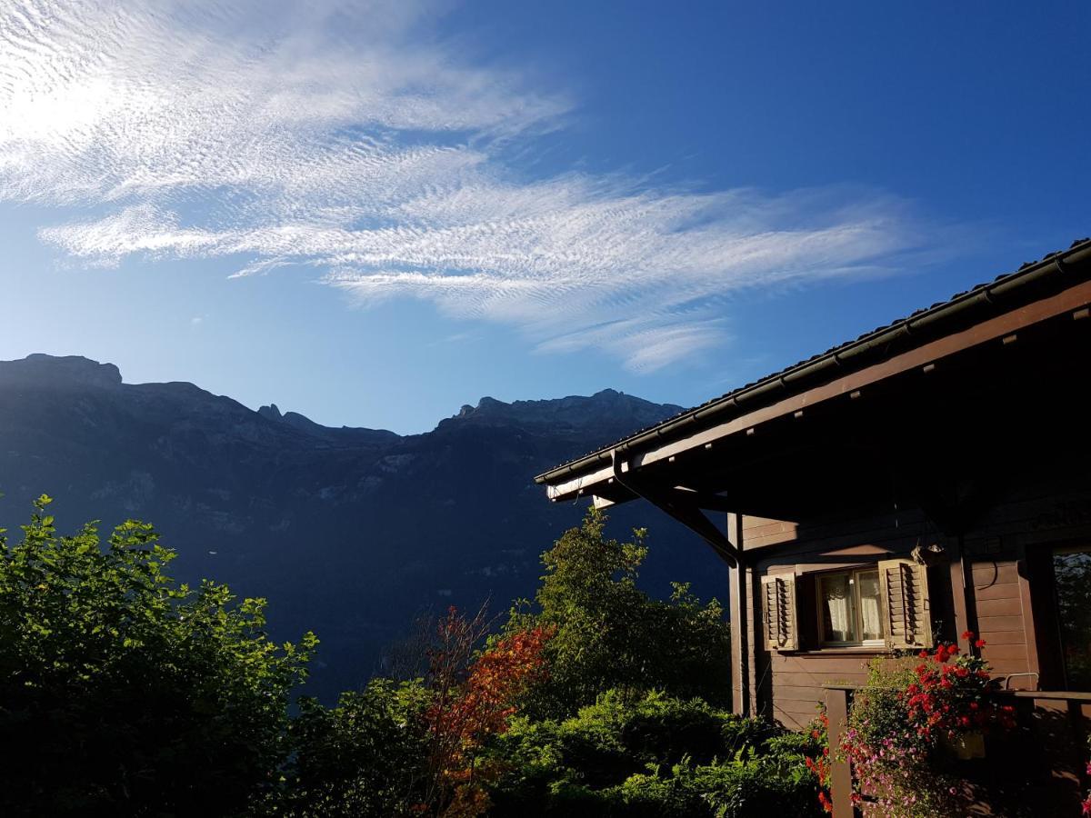 Ferienwohnung Selinda Niederried bei Interlaken Exteriör bild