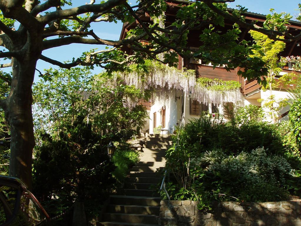 Ferienwohnung Selinda Niederried bei Interlaken Exteriör bild